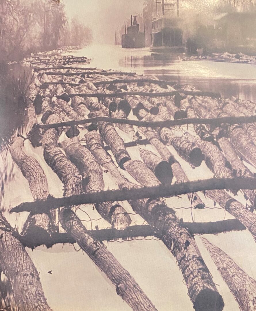 A Digital History of the Louisiana Cypress Industry