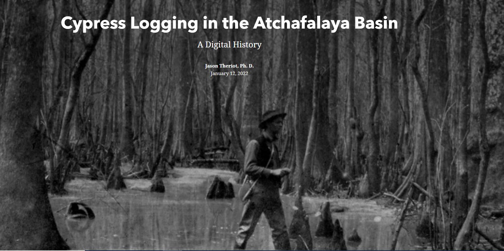Cypress Logging in the Atchafalaya Basin