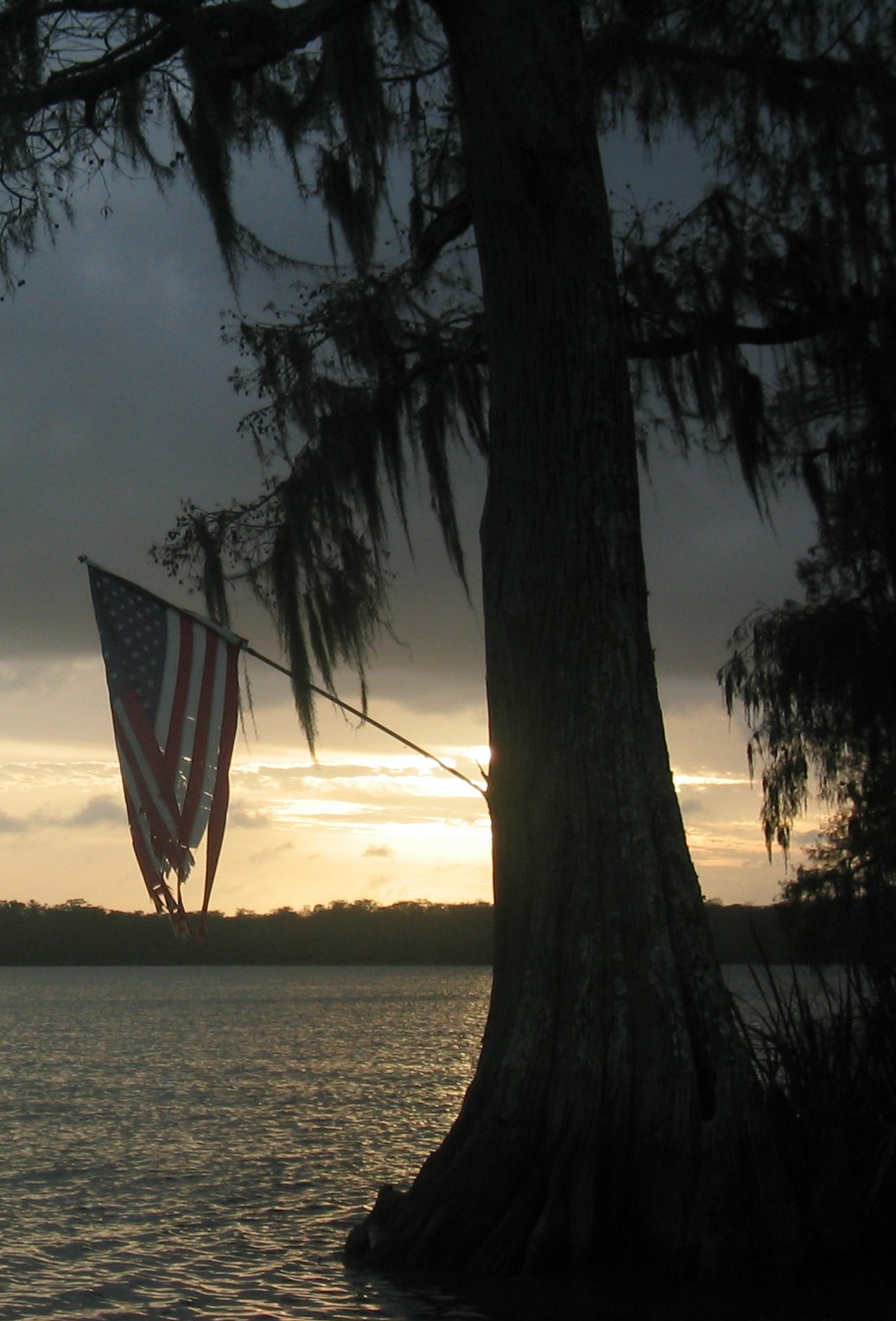 cypress and flag